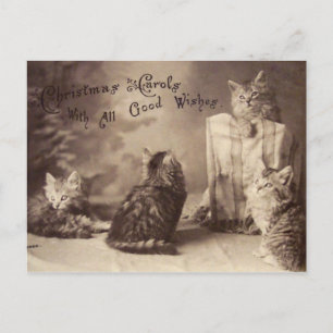 Vintage Cat Christmas Postcard