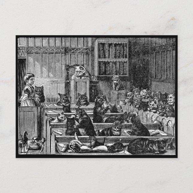 Vintage Cat Courtroom Postcard (Front)