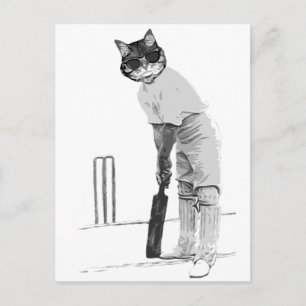 vintage cat cricketer postcard