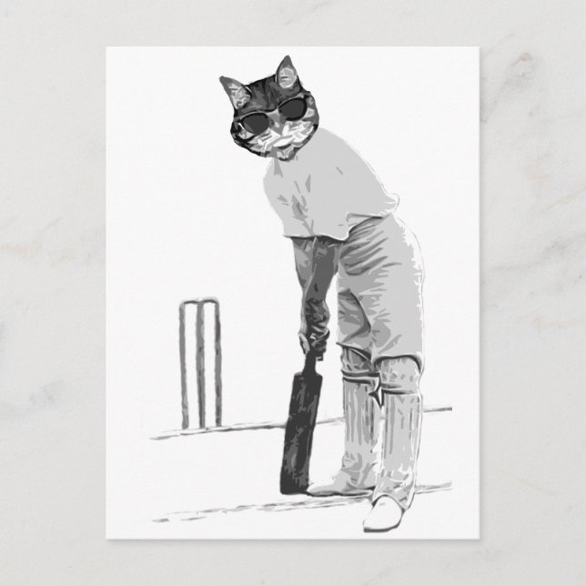 vintage cat cricketer postcard (Front)