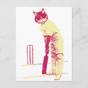 vintage cat cricketer postcard
