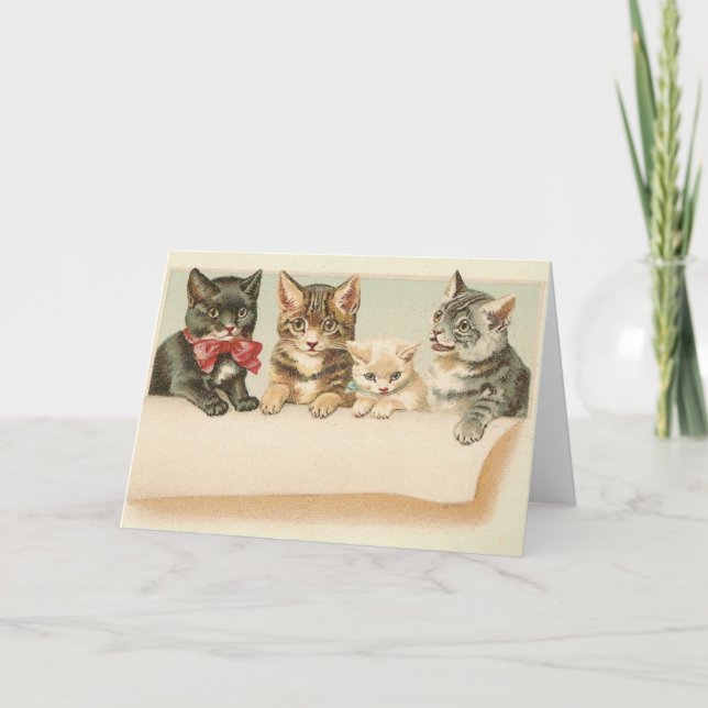 Vintage Cat Family Portrait Note Card (Front)