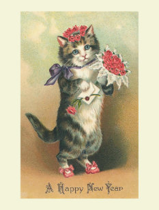 Ugrinovich Cat 1969 Photo by G Postcard