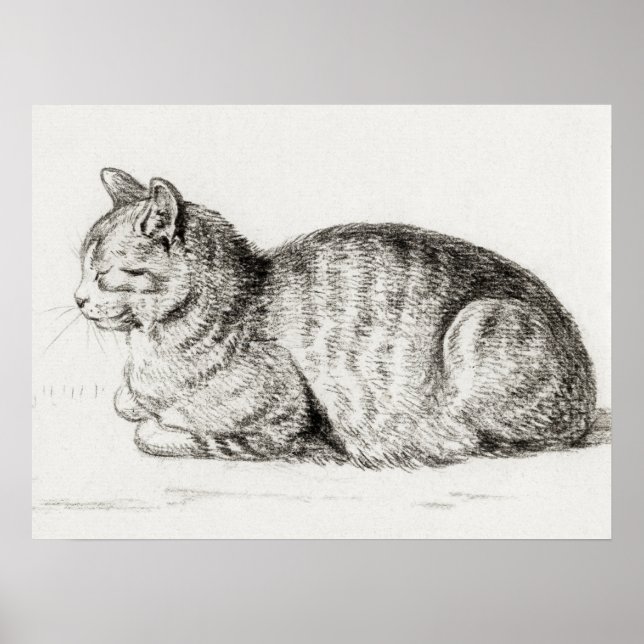 Vintage Cat Illustration Poster (Front)