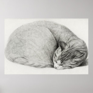Vintage Cat Illustration Poster