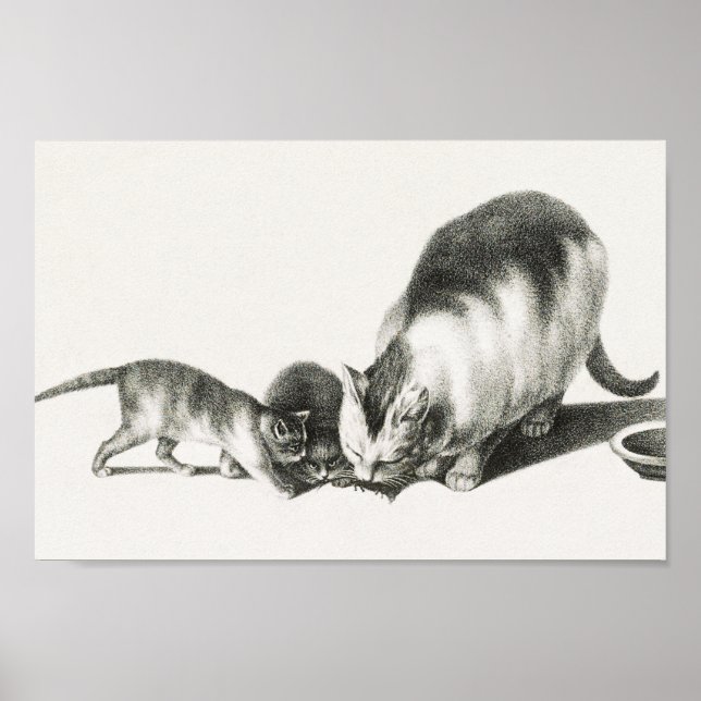 Vintage Cat Illustration Poster (Front)