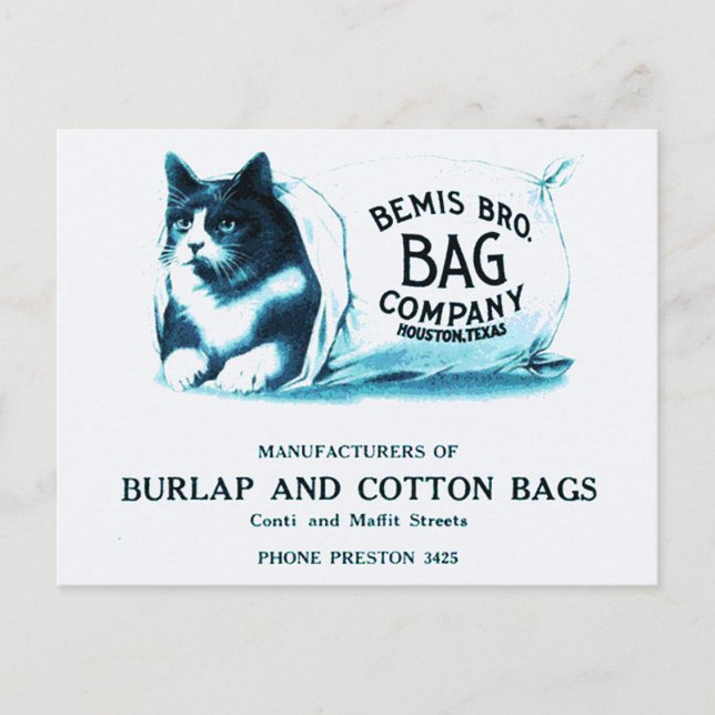 Vintage Cat in Bag Postcard (Front)