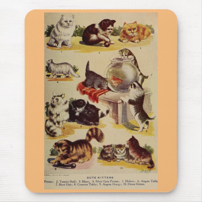 Vintage cat kitten breed chart cute mouse pad (Front)