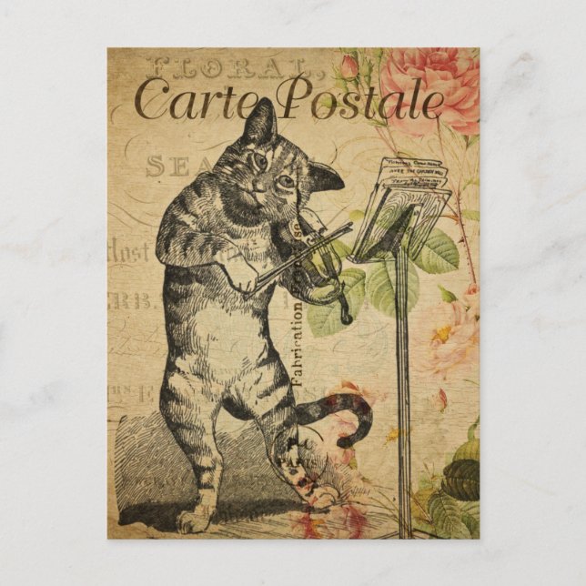 Vintage Cat Playing Fiddle Pink Roses French Postcard (Front)