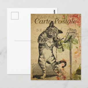 Vintage Cat Playing Violin Postcard