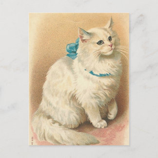 vintage cat postcards