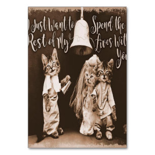 Vintage Cat Wedding  Cute Cat Design Table Number