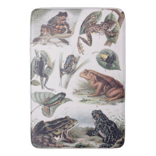 Vintage Catalogue of Frogs Science Geek Bath Mat