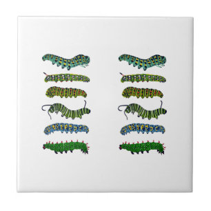 Vintage Caterpillar Illustration Mug Tile