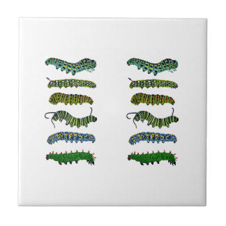 Vintage Caterpillar Illustration Mug  Tile