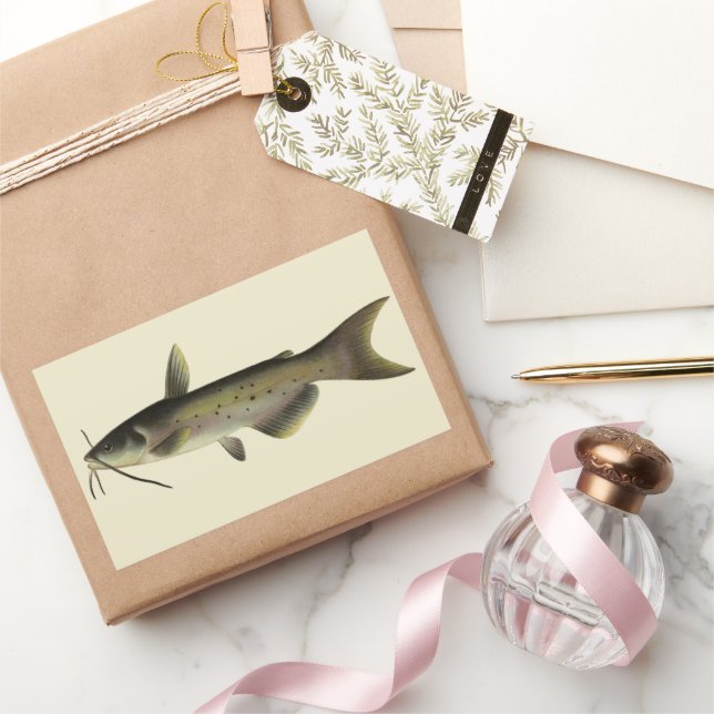 Vintage Catfish Fishing, Marine Life River Fish Sticker (Gifting)