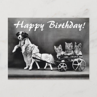 Vintage Cats & Dog Happy Birthday Postcard