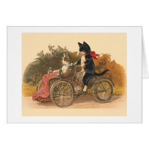 Vintage - Cats on a Bicycle Ride,