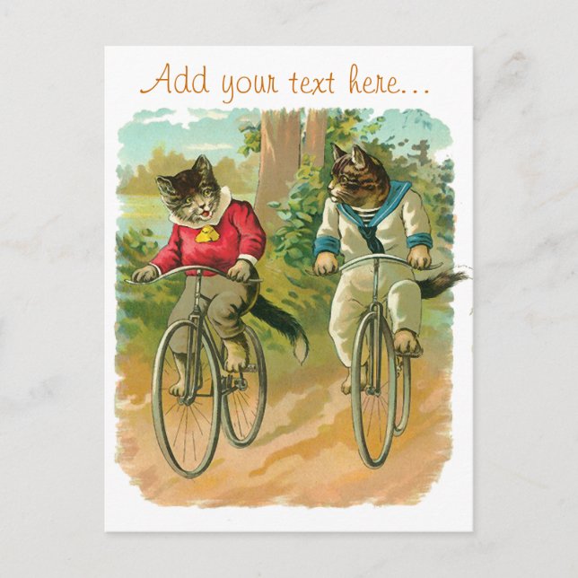 Vintage Cats on Bicycle Postcard (Front)