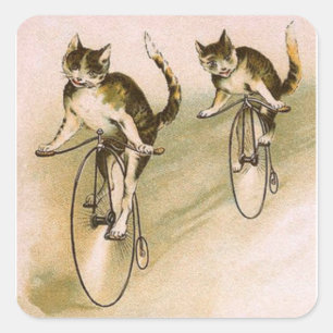 Vintage Cats on Bikes Square Sticker
