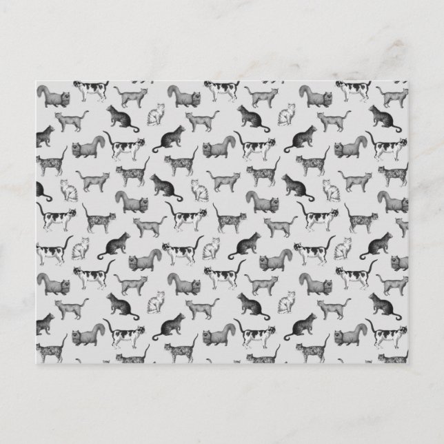 Vintage Cats Pattern Postcard (Front)