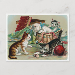 Vintage Cats Postcard