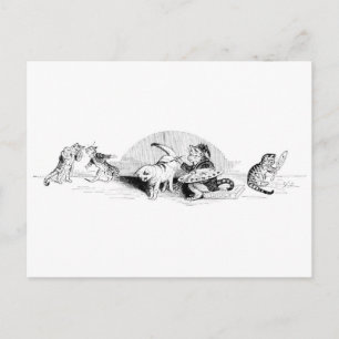 Vintage Cats Postcard