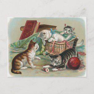 Vintage Cats Postcard