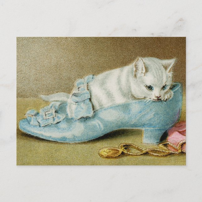 Vintage Cats Postcard (Front)