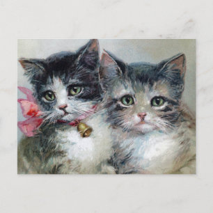 Vintage Cats Postcard