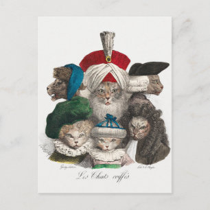 Vintage Cats Postcard