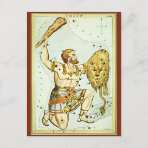 Vintage Celestial Astronomy, Orion Constellation Postcard