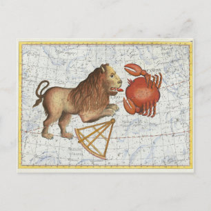 Vintage Celestial Cancer & Leo Constellations Postcard