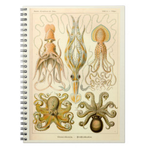 Vintage Cephalopods Notebook