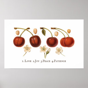 Vintage Cerises Fruit Cottagecore Antique Poster