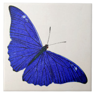 Vintage Cerulean Blue Butterfly 1896 Template Tile