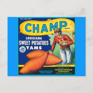 Vintage Champ Brand Sweet Potatoes Ad Postcard