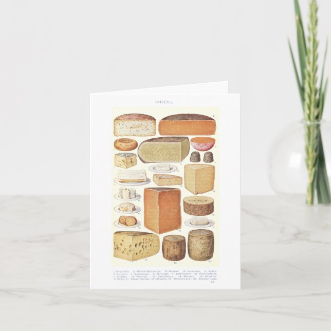 Vintage Cheese Illustration Note Card (Front)