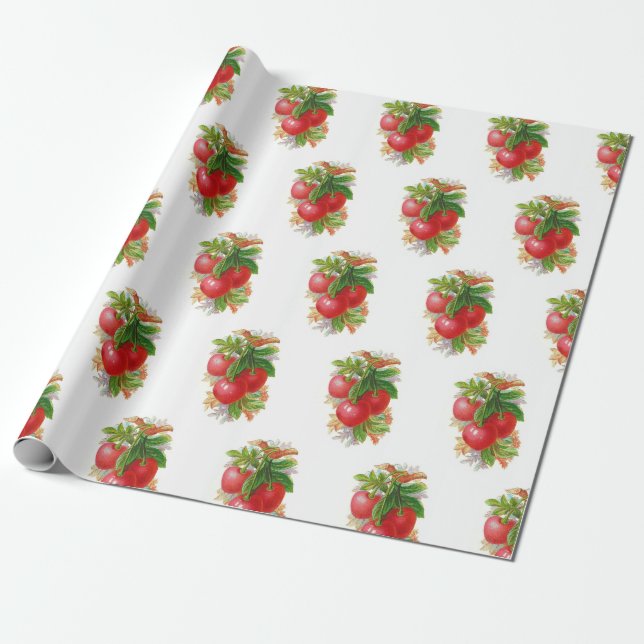 Vintage Cherries Wrapping Paper (Unrolled)