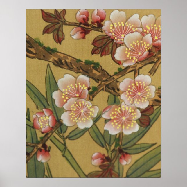 Vintage Cherry Blossoms Asian Japanese Flowers Poster (Front)