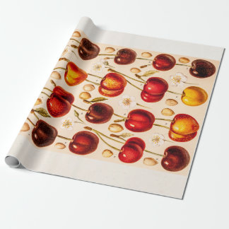 Vintage Cherry Varieties Antique Cherries Fruit Wrapping Paper