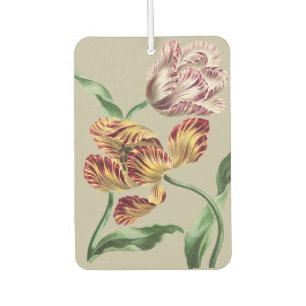 Vintage Chic 18th Century Botanical Tulip Art Air Freshener