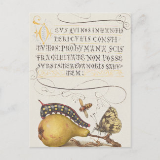 Vintage Chic Calligraphy butterfly Print Postcard