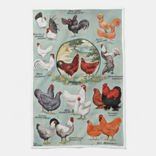 Vintage Chicken Breeds Kitchen Towel