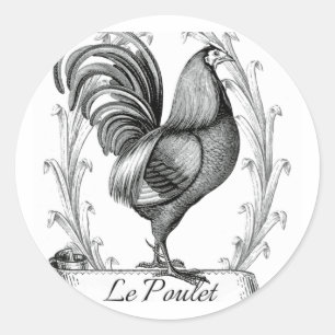 vintage chicken design typography classic round sticker