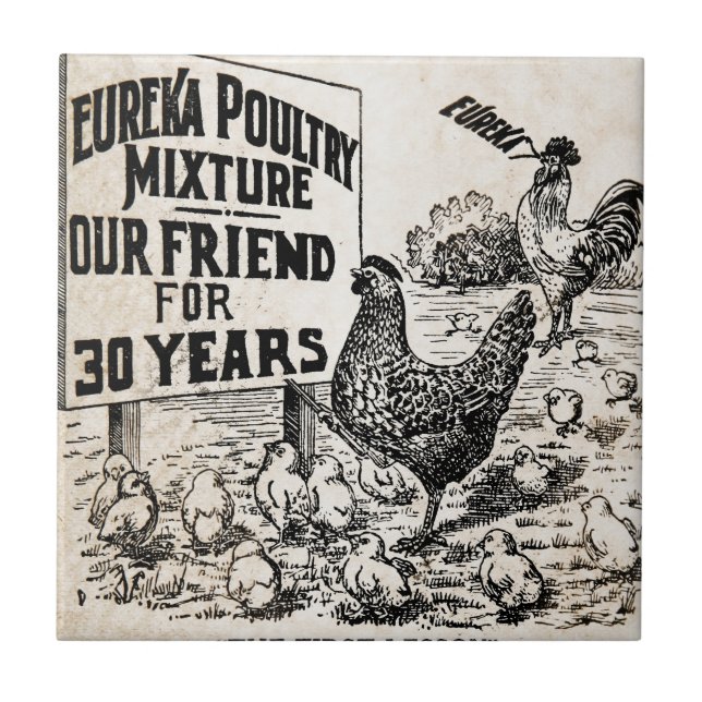Vintage Chicken Feed Advertising Tile (Front)