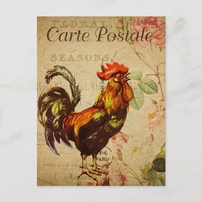 Vintage Chicken Hen Rooster illustration French Postcard (Front)