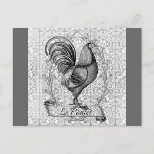 Vintage Chicken Illustration Postcard