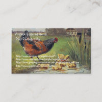 Vintage Chicken Items and Photography