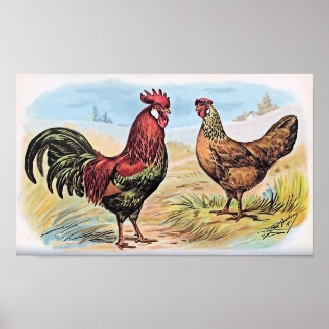 Vintage Chicken Print Rooster and Hen (Front)